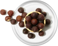 Soapnut