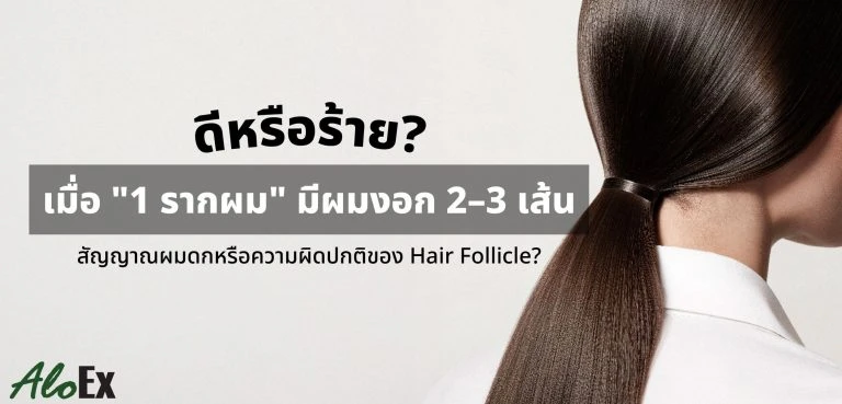 Good or bad — when one follicle grows 2–3 strands?