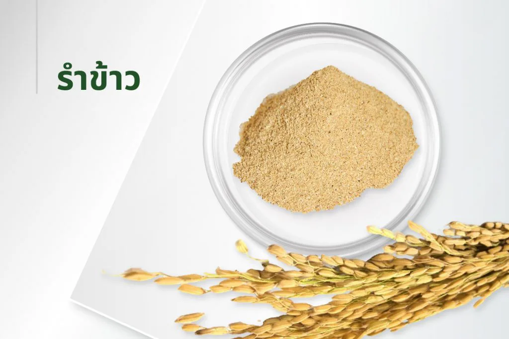 The 15 extracts — Rice Bran