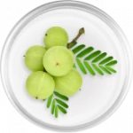 Indian Gooseberry (Amla)