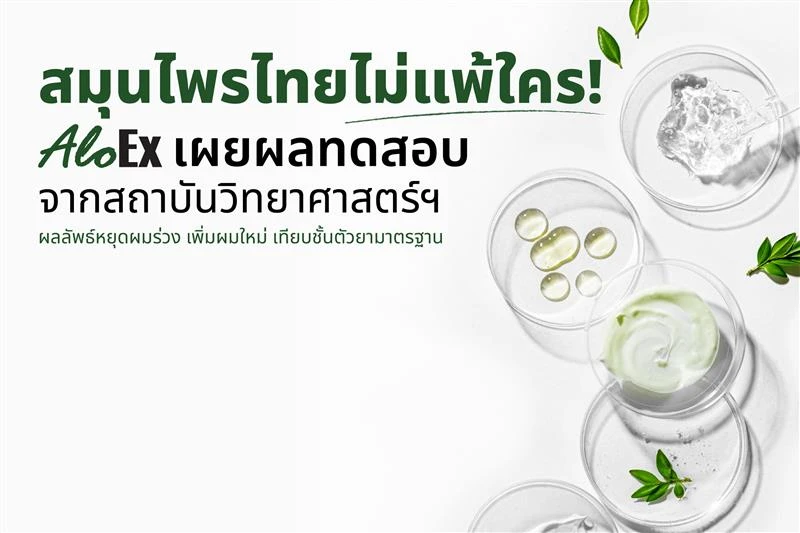Thai herbs, no ordinary thing — AloEx reveals lab results showing reduced hair loss and new growth, with efficacy comparable to standard medications