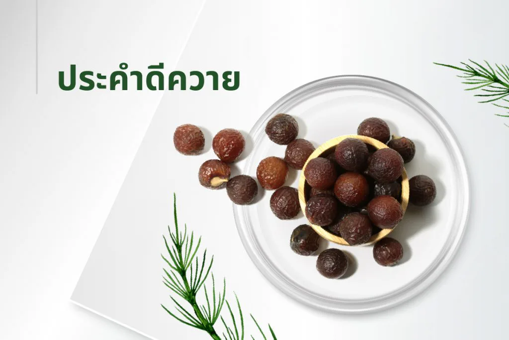 The 15 extracts — Soapnut