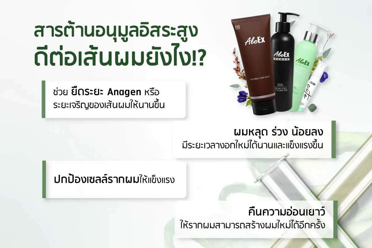 How are powerful antioxidants good for scalp and hair?