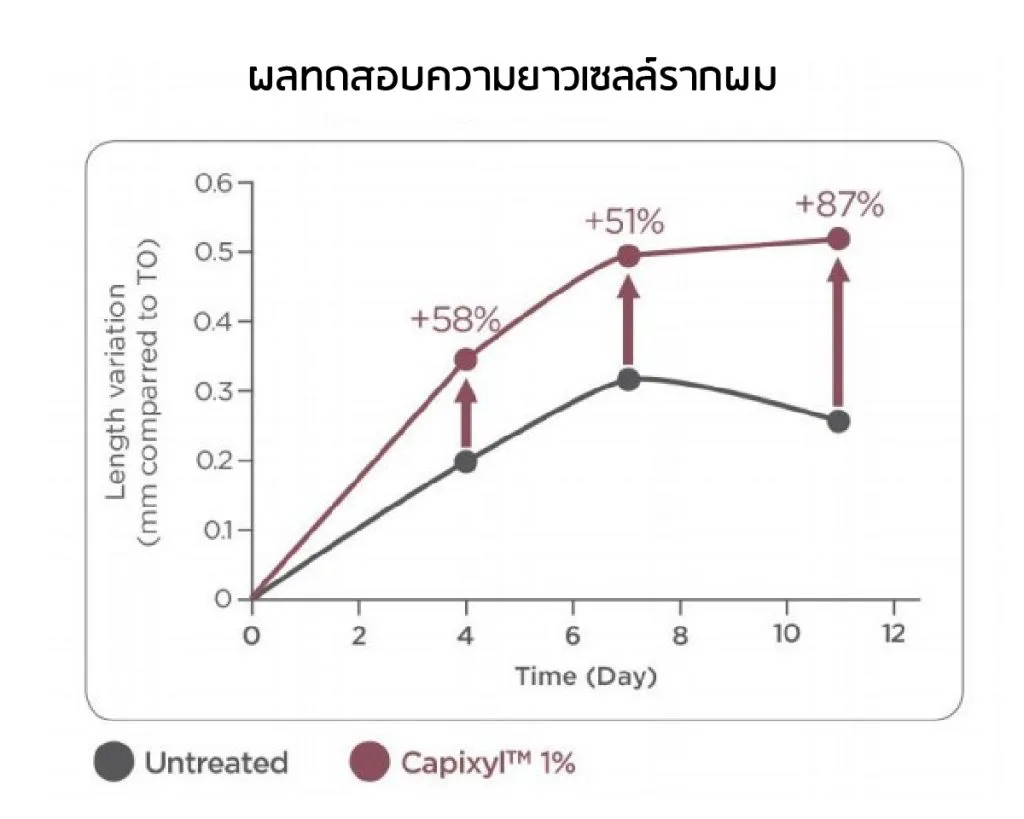 ผลทดสอบ Capixyl ความยาวเซลล์รากผม