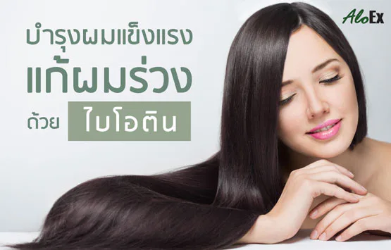 บำรุงผมแข็งแรง แก้ผมร่วง ด้วย ไบโอติน (Biotin)