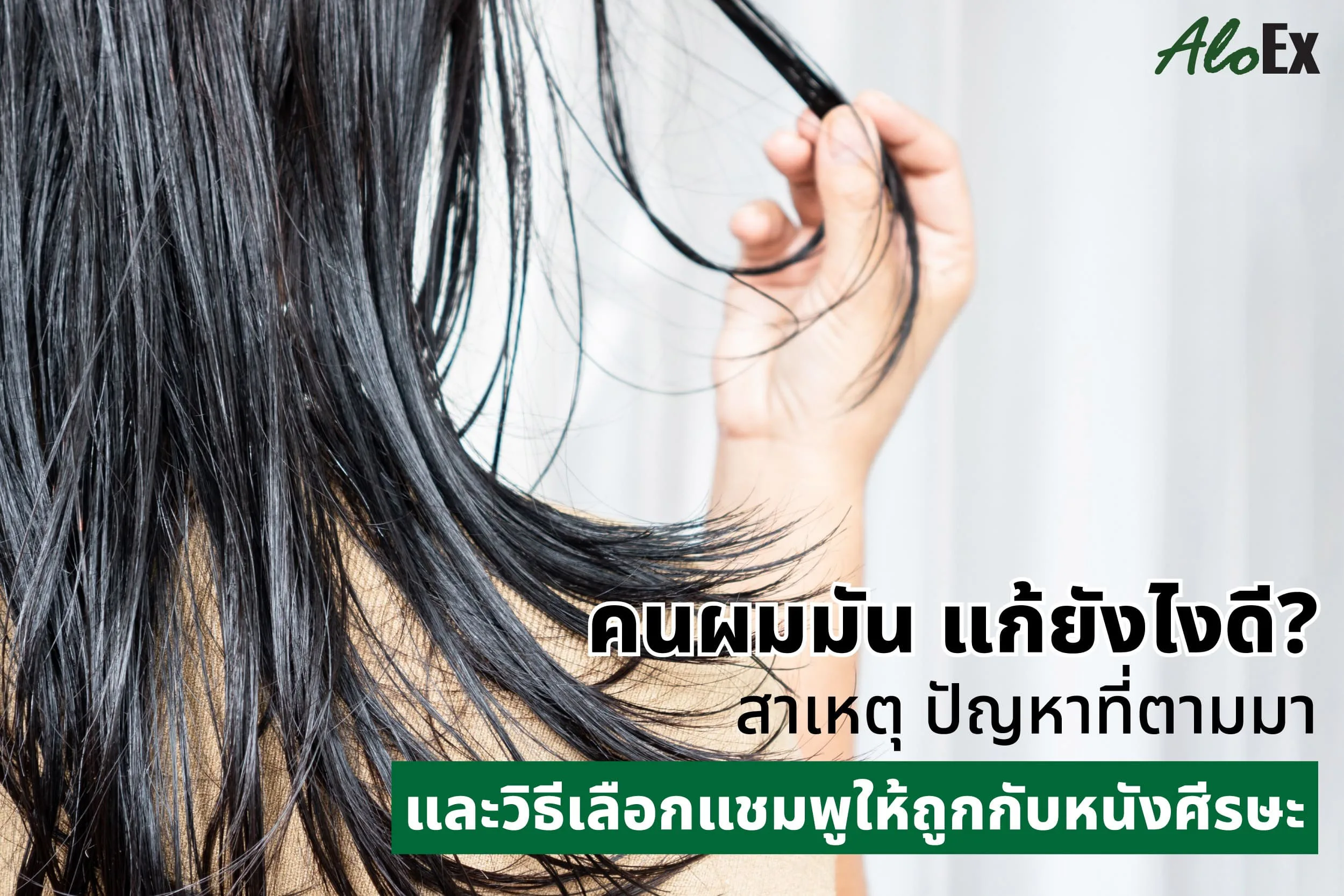AloEx — shampoo for oily hair