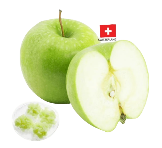apple stem cell