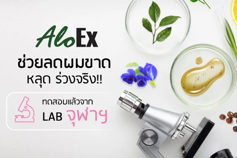 How can Thai herbs reduce hair fall? AloEx sent samples to a Chulalongkorn University lab and found many real benefits.