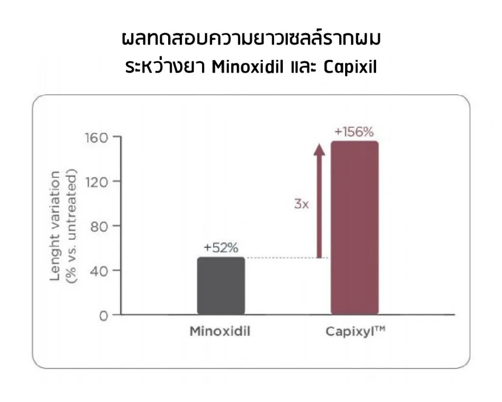 ผลทดสอบระหว่าง Capixyl และ Minoxidil