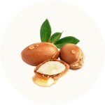 Argan Oil