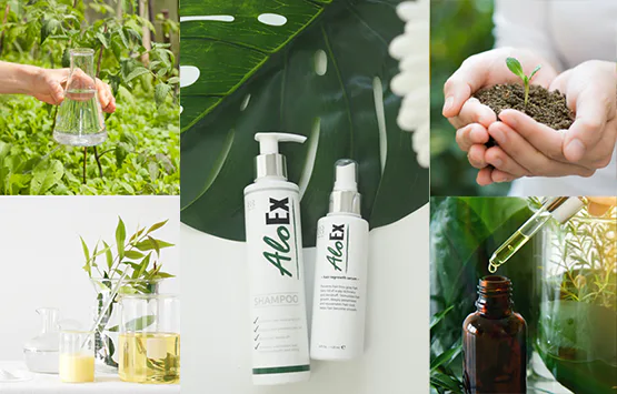 AloEx သည် ကမ္ဘာအတွက် မိတ်ဆွေဖြစ်ရသည့် အကြောင်းရင်း ၉ ချက်