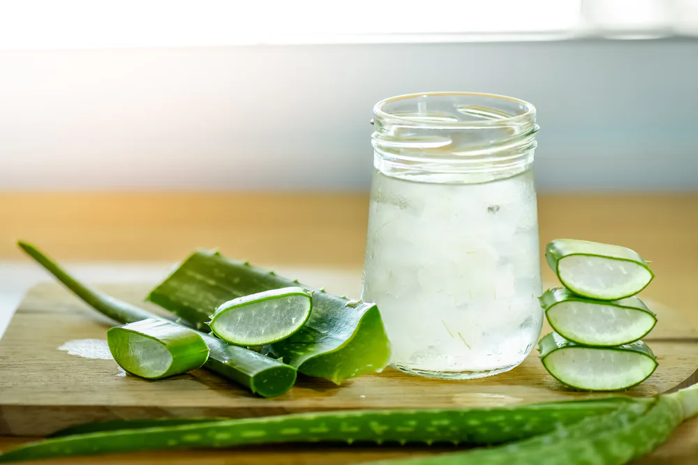 ရှားစောင်းလက်ပတ် (Aloe Vera) နည်းလမ်း