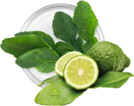 Kaffir Lime Leaf