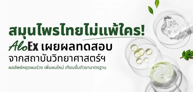 Thai herbs, no ordinary thing — AloEx reveals lab results showing reduced hair loss and new growth, with efficacy comparable to standard medications