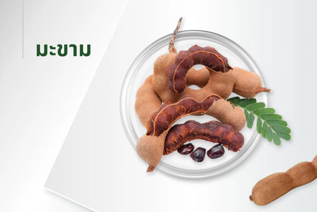 The 15 extracts — Tamarind