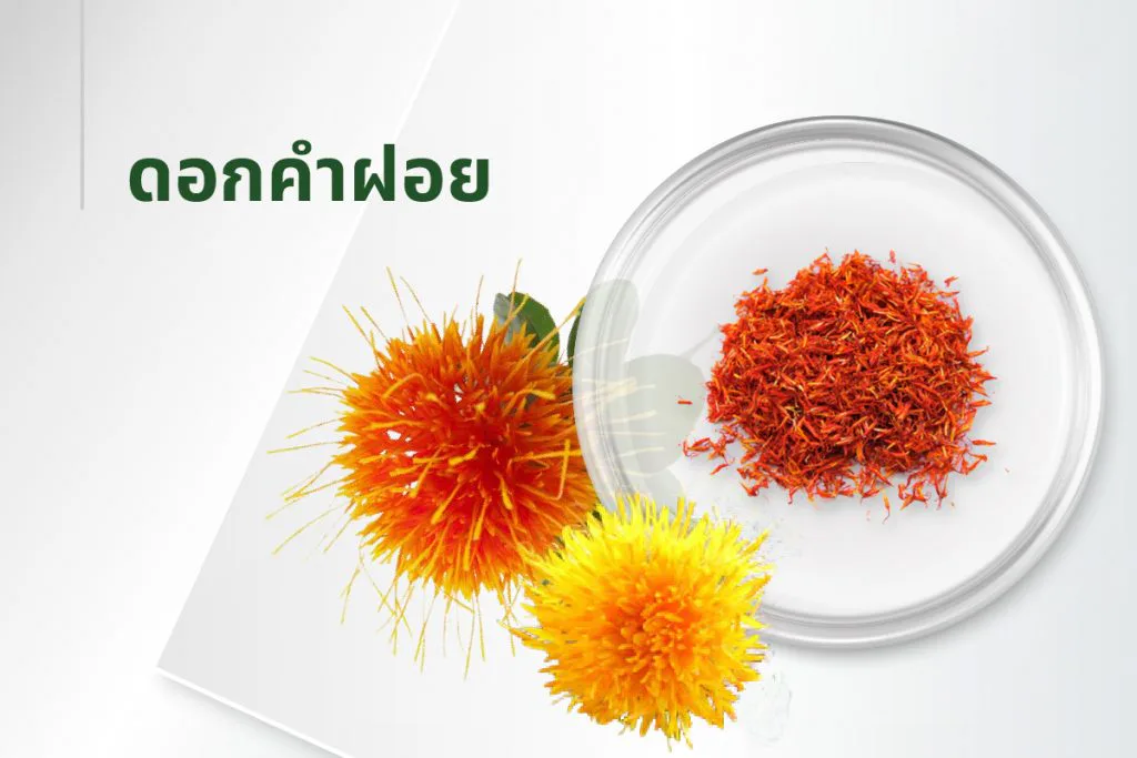 The 15 extracts — Safflower