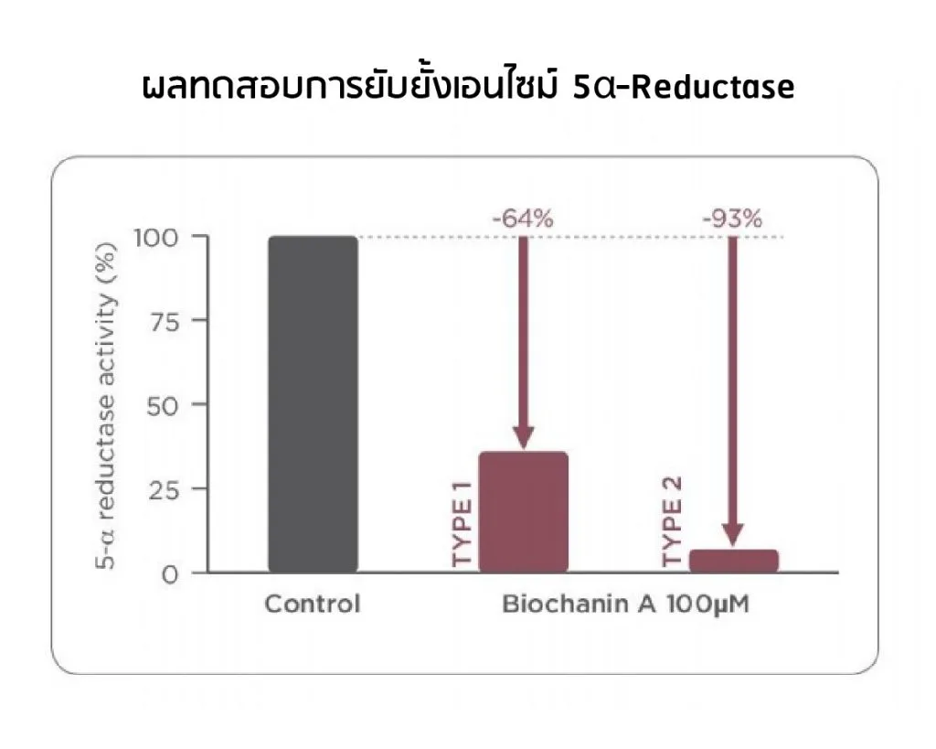 ผลทดสอบ Capixyl ยับยั้ง 5 Alpha Reductase