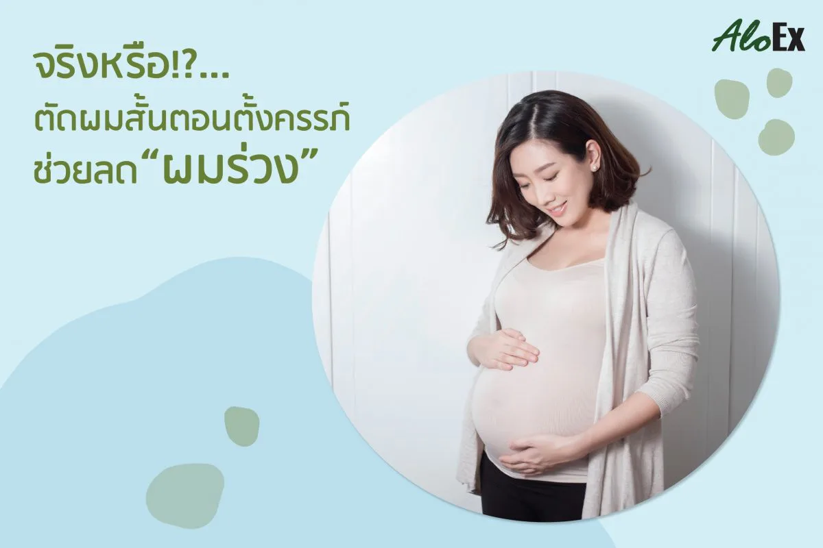 တကယ်လား? ကိုယ်ဝန်ဆောင်စဉ် ဆံပင်တိုတို ညှပ်ထားရင် 'ဆံပင်ကျွတ်' လျော့နိုင်တယ်ဆိုတာ?