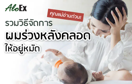 မိခင်များ မှတ်သားထားသင့်တယ်! မွေးပြီးနောက် ဆံပင်ကျွတ်ခြင်းအကြောင်း သိသင့်သမျှ - ဘယ်လိုဂရုစိုက်ရမလဲ၊ ဘာကြောင့်ဖြစ်ရတာလဲ၊ ဆံပင်ကျွတ်ကာကွယ်ခေါင်းလျှော်ရည်က အလုပ်ဖြစ်ရဲ့လား။