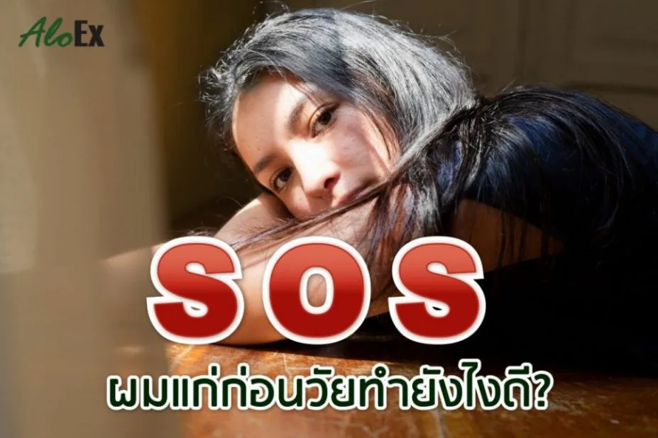 SOS — အရွယ်မရောက်ခင် ဆံပင်ဖြူခြင်းအတွက် ဘာလုပ်သင့်လဲ။