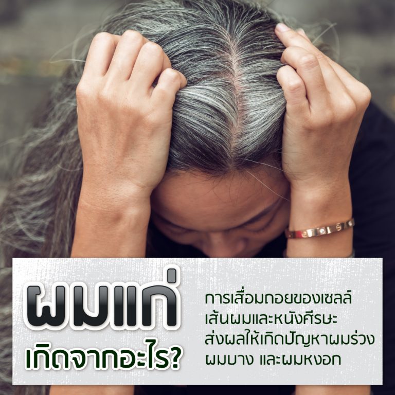 Sos ผมแก่ก่อนวัยทำยังไงดี? - Aloex หยุดผมร่วง ลดผมบาง สร้างผมใหม่