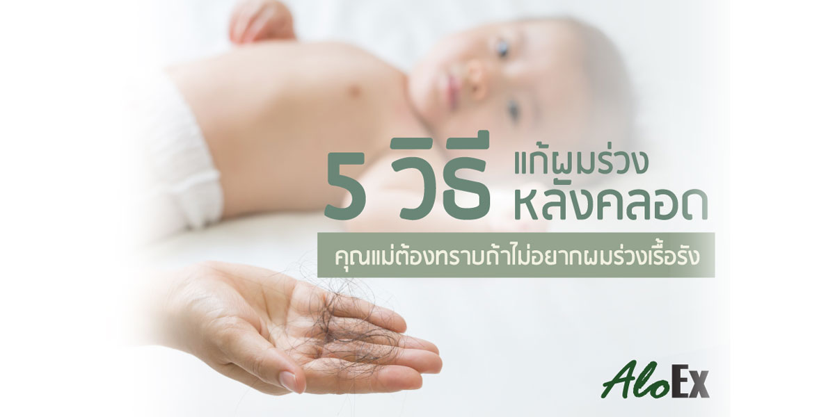 5 วิธีแก้ผมร่วงหลังคลอด - Aloex หยุดผมร่วง ลดผมบาง สร้างผมใหม่